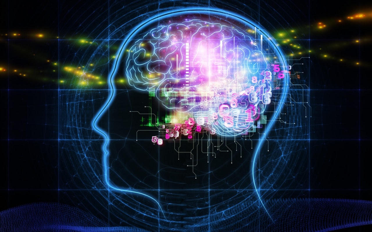 Cognitivisme – Notre intelligence est-elle artificielle ?