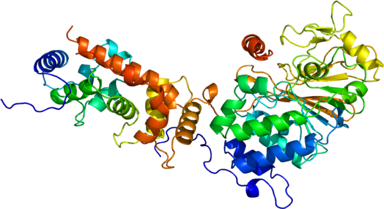 RoseTTAFold, mieux que AlphaFold pour prédire la structure des protéines