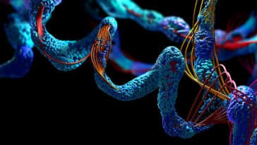 DeepMind publie gratuitement la carte la plus complète des protéines humaines