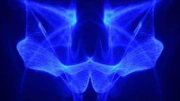 Deep learning : rayons X en 3D