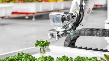 Utiliser des robots à IA pour une agriculture durable