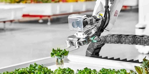 Utiliser des robots à IA pour une agriculture durable