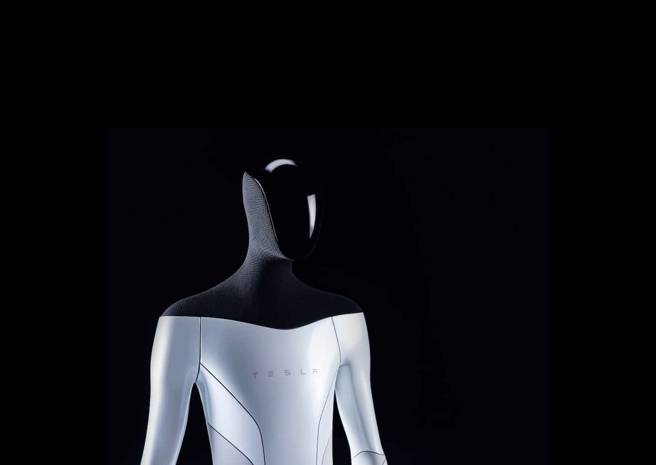 tesla bot
