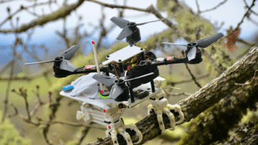 SNAG : le robot qui ressemble à un oiseau
