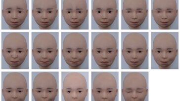Androïde Nikola