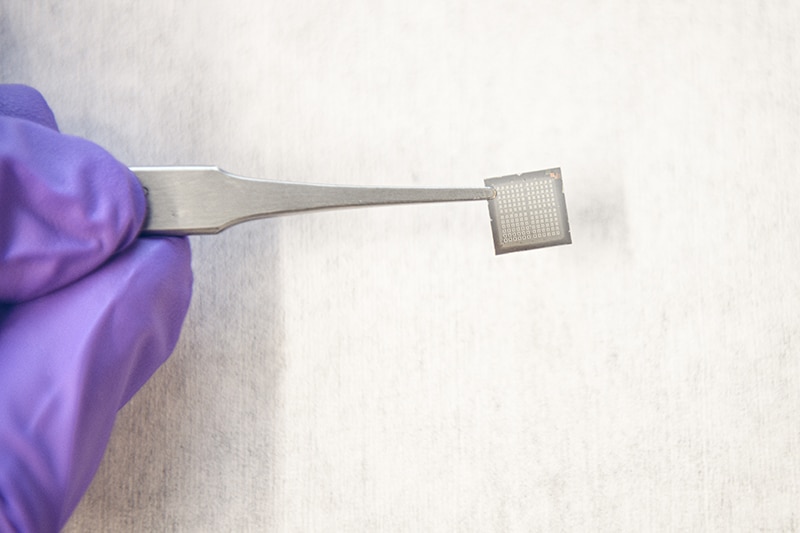 Des chercheurs reproduisent le cerveau dans une puce