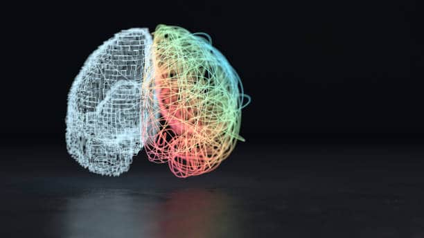 Meta AI : étudier le cerveau pour comprendre le traitement du langage