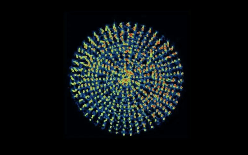 Des chercheurs créent un cil artificiel avec un seul matériau