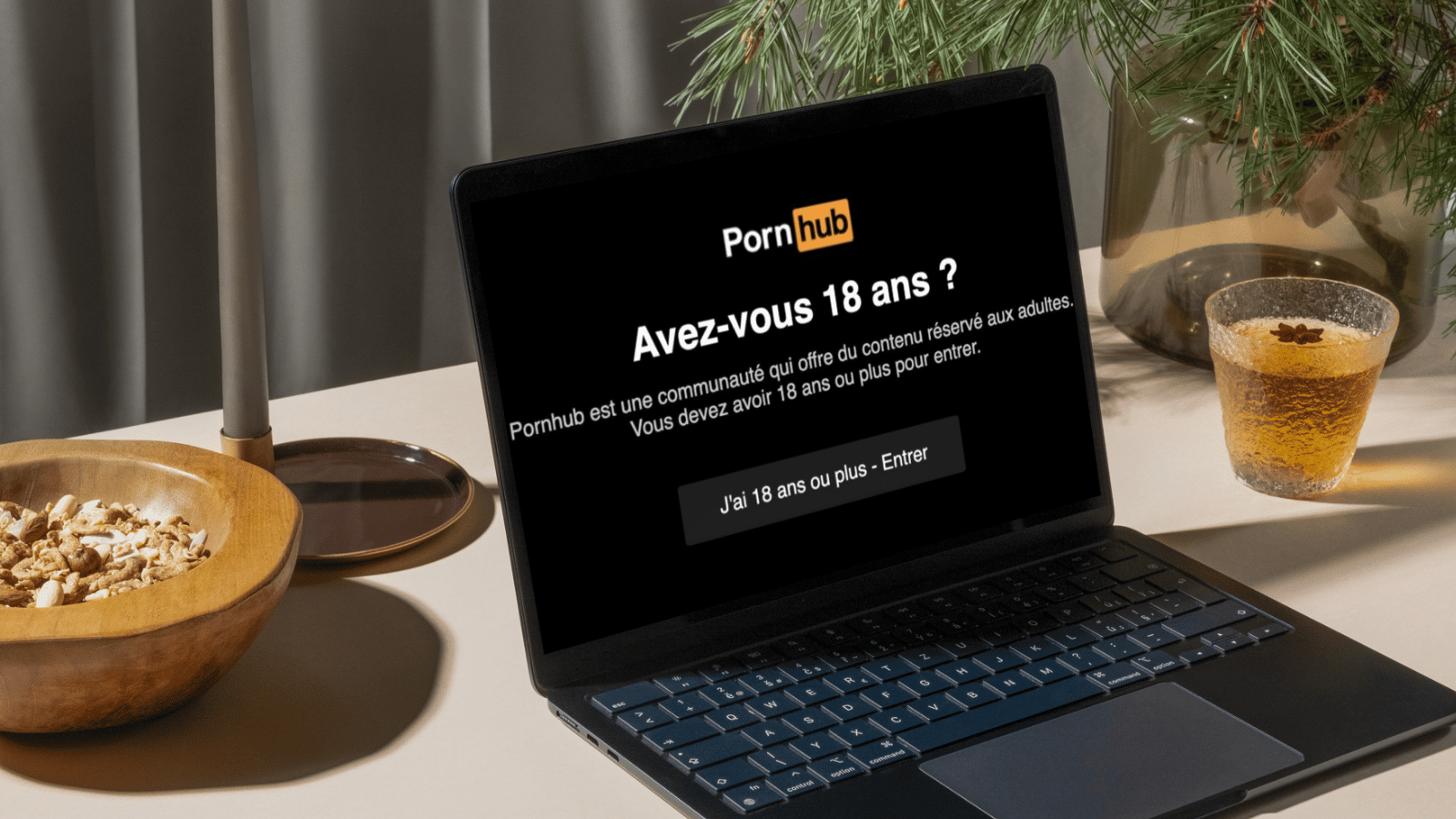 Débloquer PornHub en France