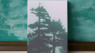 Une toile personnalisée avec une photo
