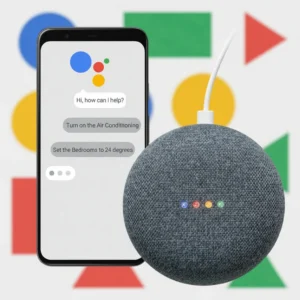 Google Assistant