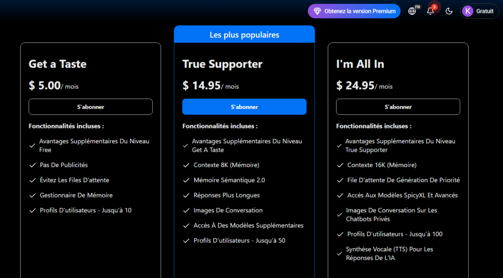 Les différents tarifs actuellement applicables sur SpicyChat AI