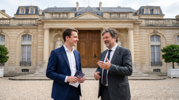 Adoption de l'IA en France